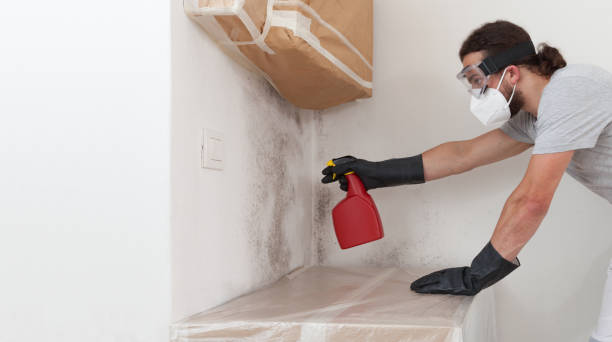 Professional Black Mold Removal technician working in Lawrenceville, VA