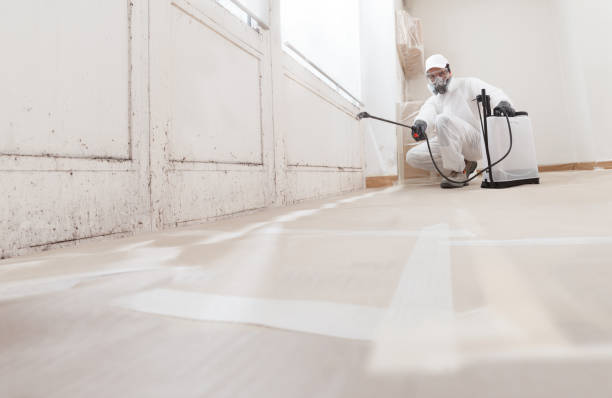 24/7 Emergency Black Mold Removal experts in Lawrenceville, VA