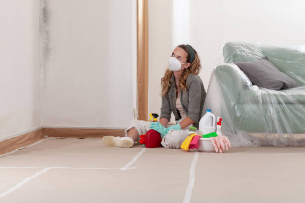 Trusted Black Mold Removal service in Lawrenceville, VA - WQB Mold Removal